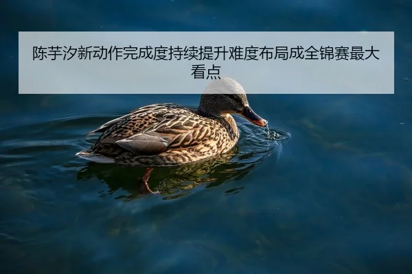img_1787139499621_3106_0_176.jpg | xingkong.com